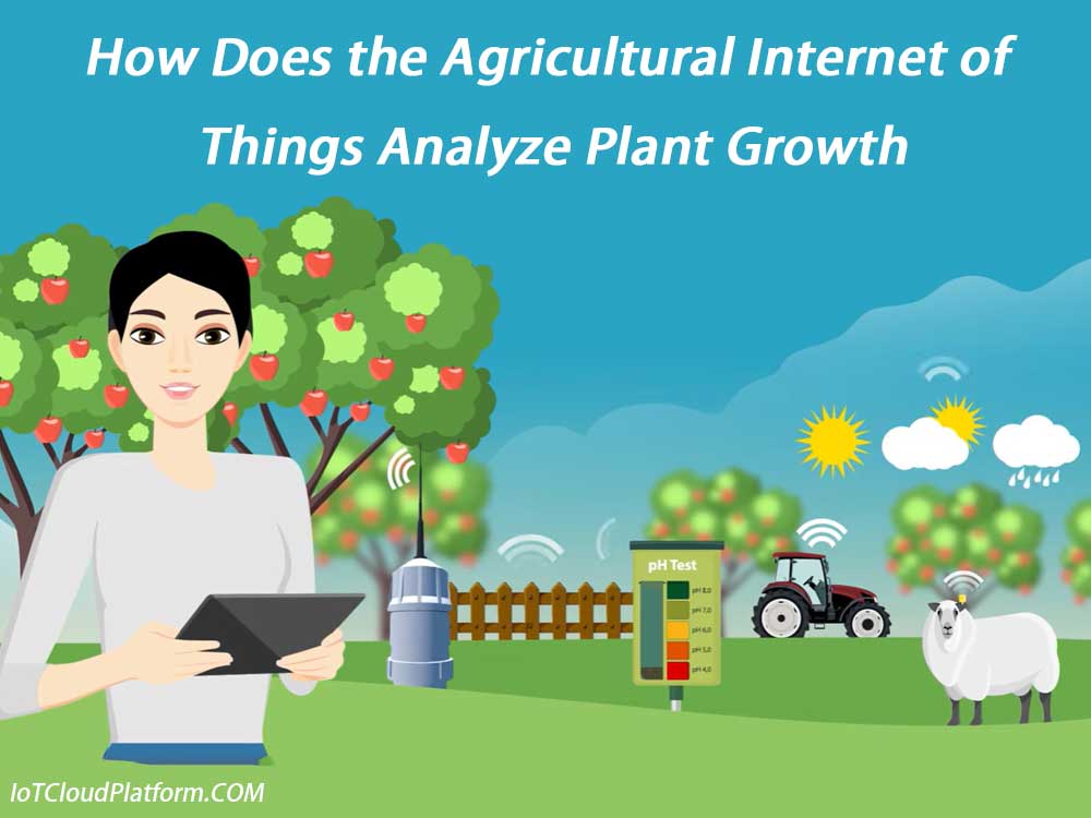 How Does the Agricultural Internet of Things Analyze Plant Growth