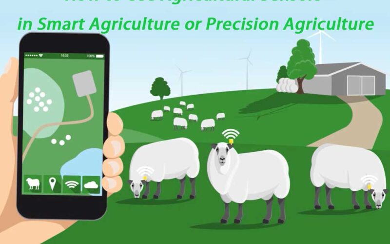 How to Use Agricultural Sensors in Smart Agriculture or Precision Agriculture