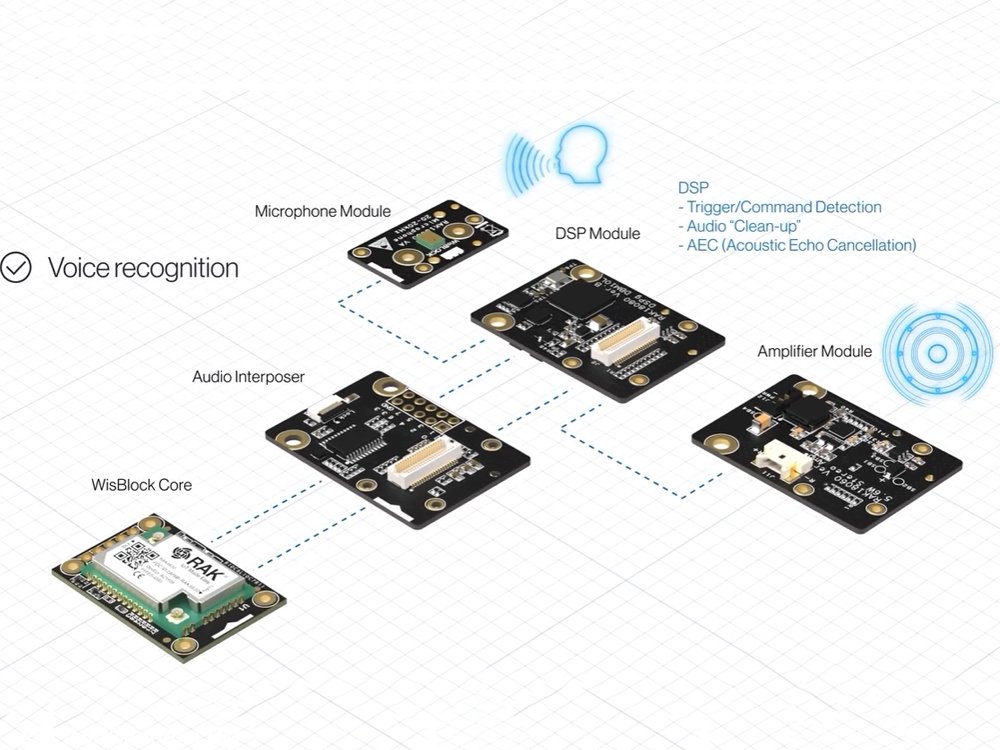 What is RAK Wireless?