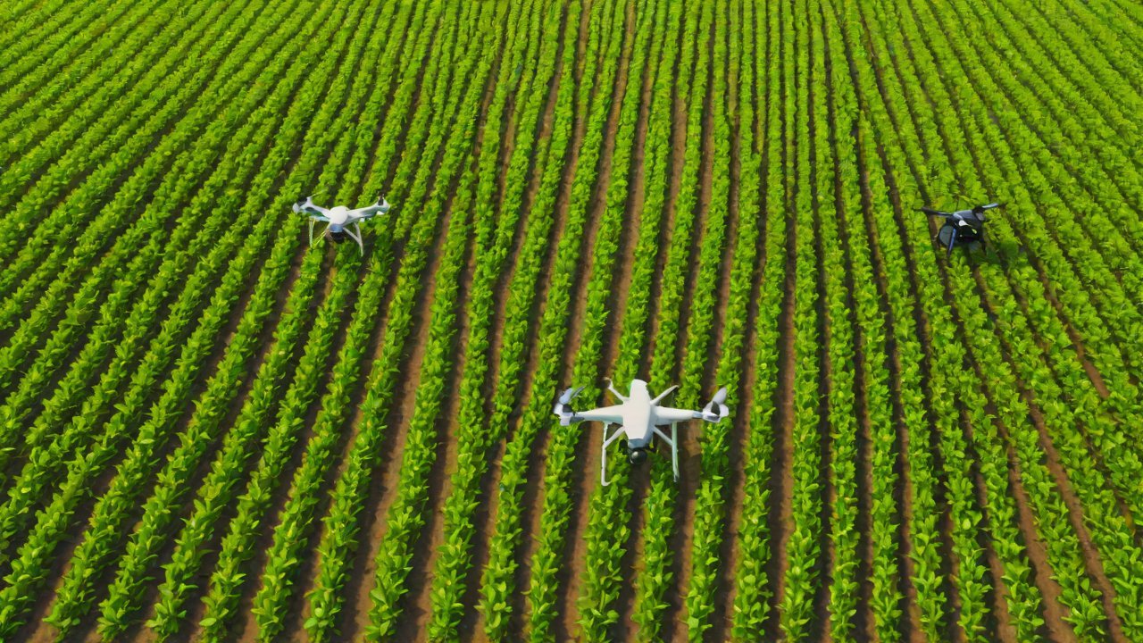Best IoT Companies for Agricultural Asset Tracking in 2026