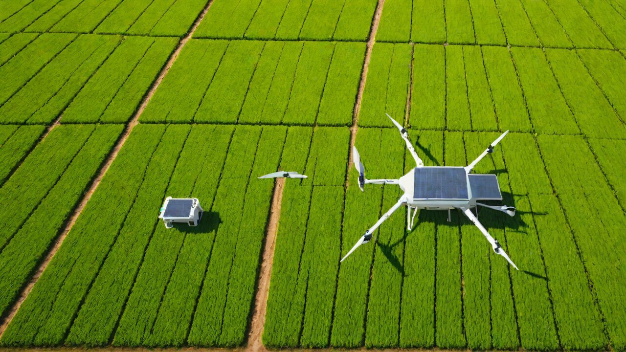 Best Global IoT Technology Companies of 2026: Smart Agriculture Sensing Special