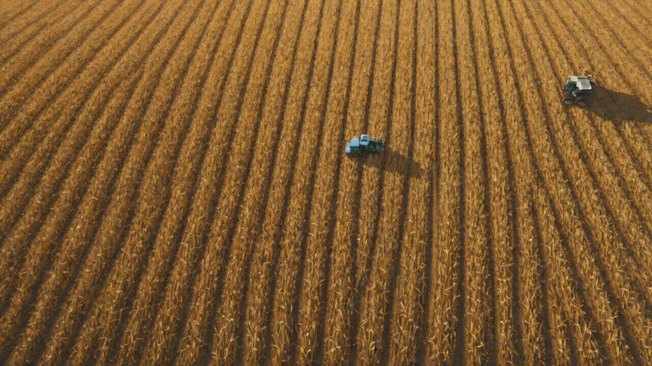 When Algorithms Take Over Harvesters, Will Humans Still Need to Step into the Fields?