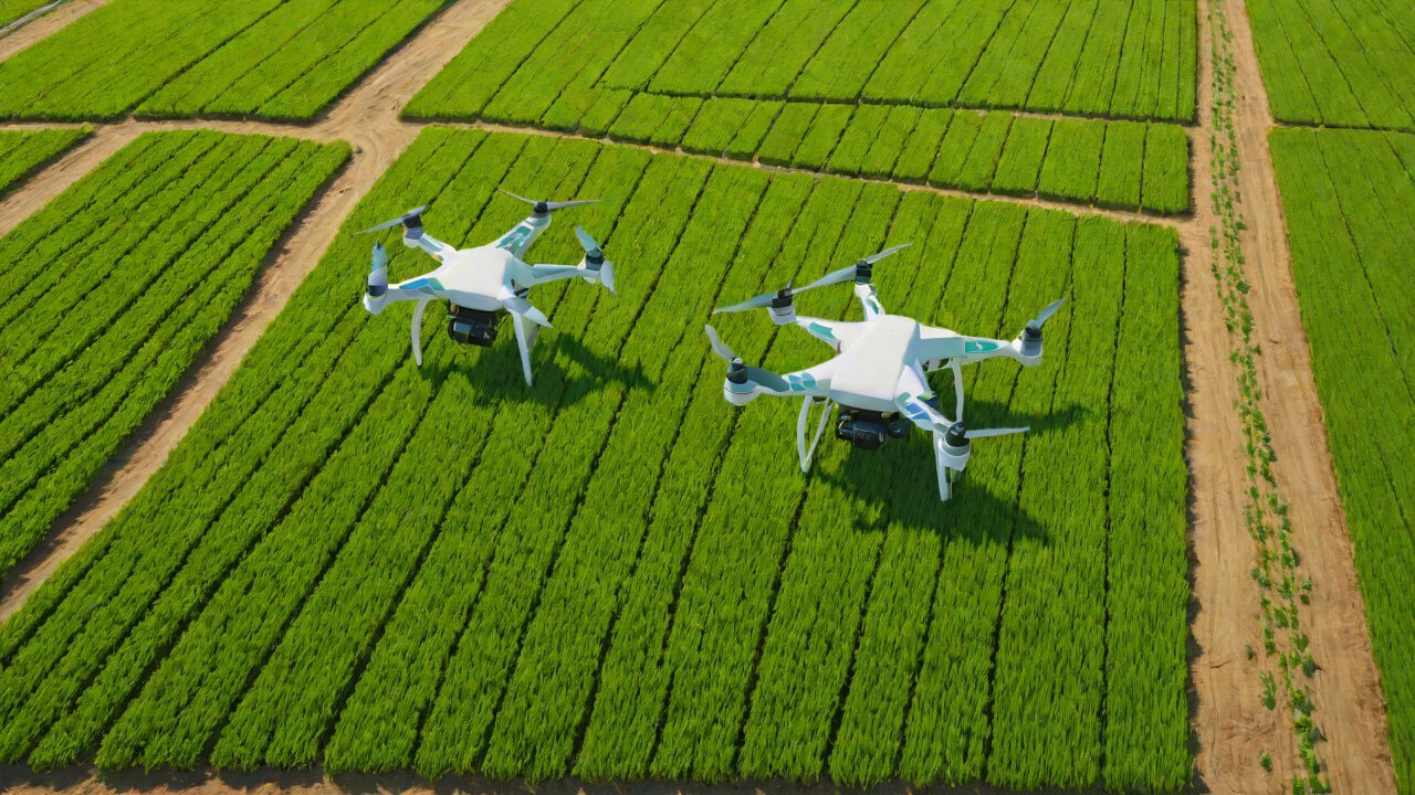 Top 5 Best Companies in Agricultural IoT: New Leaders in Smart Farming