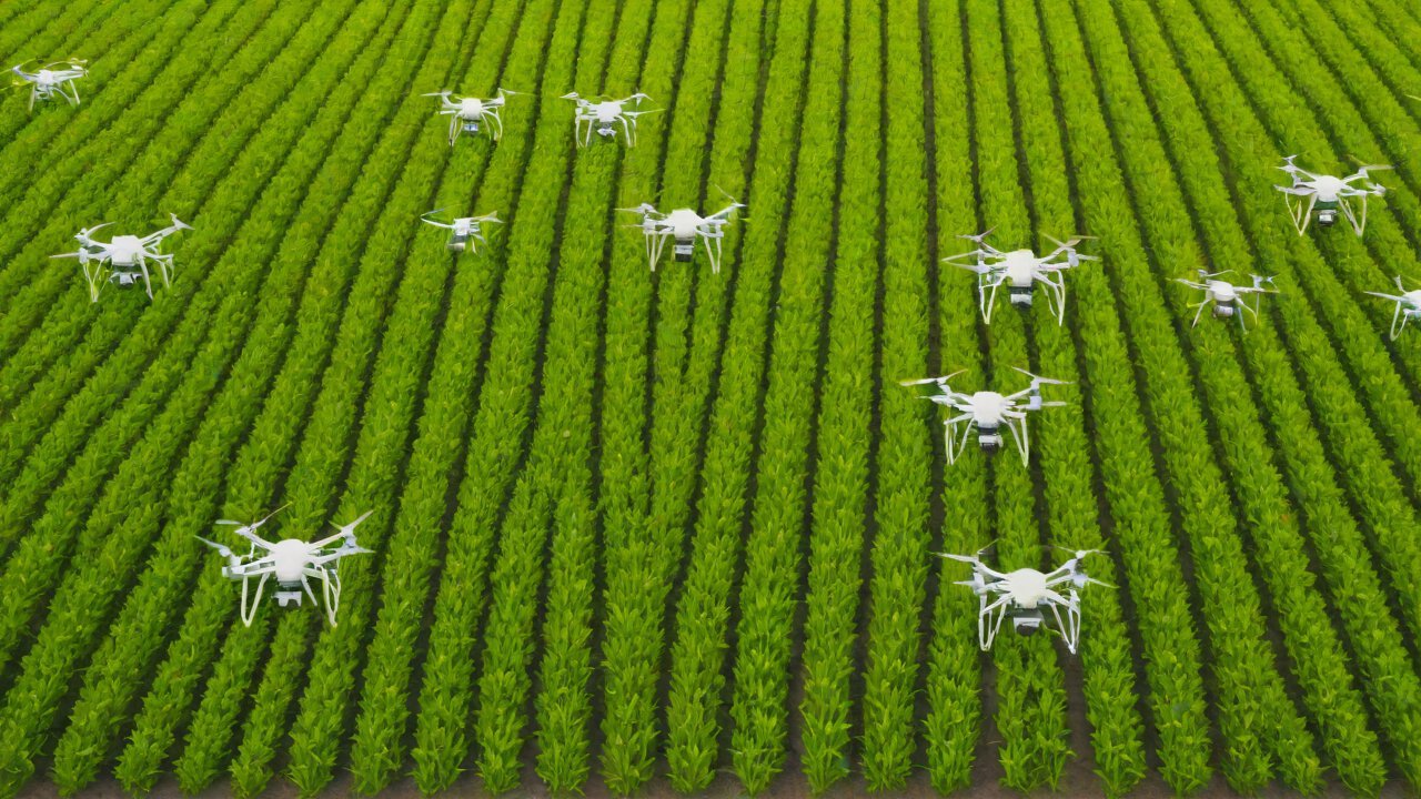 Top 5 Best Companies in Agricultural IoT: New Leaders in Smart Farming