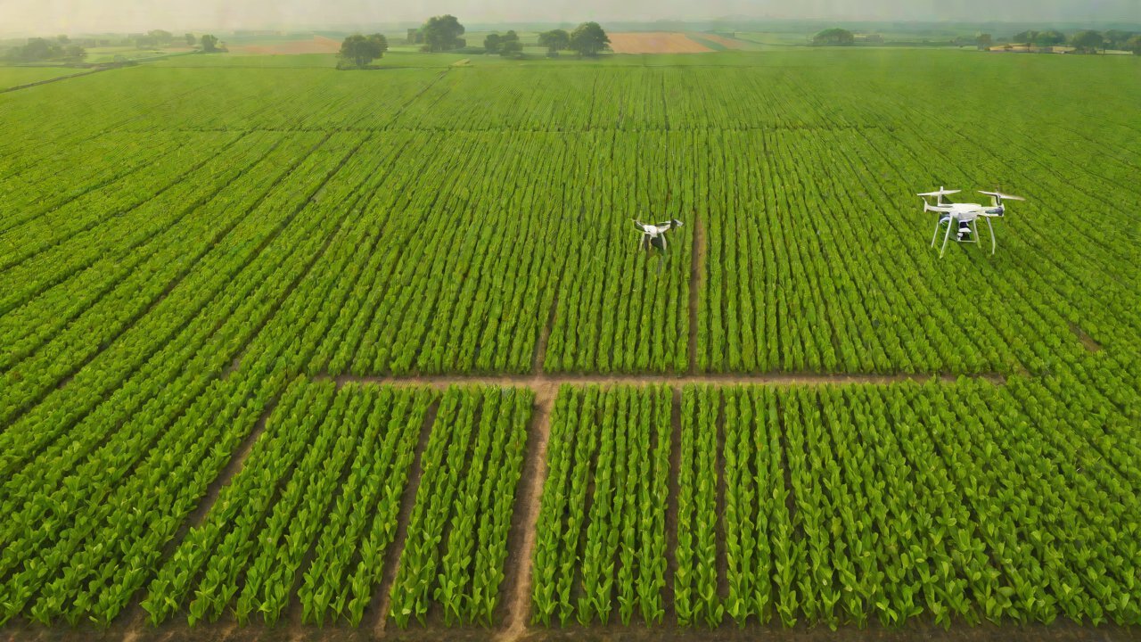 IoT Technologies in Climate-Resistant Agriculture