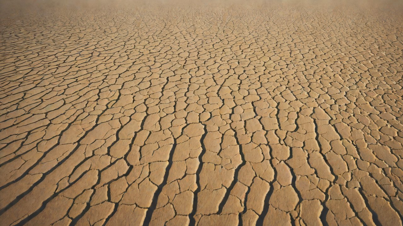 The Role of Technology in Optimizing Irrigation