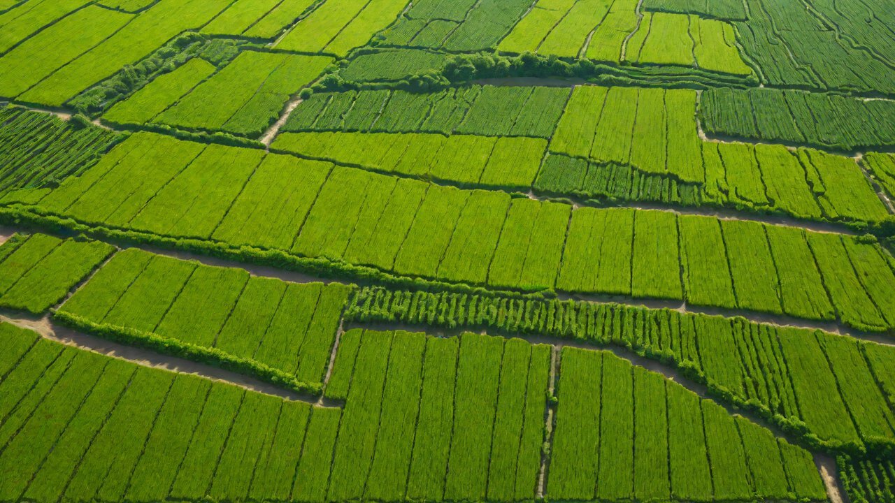 Challenges in Farm Planning with AIGC