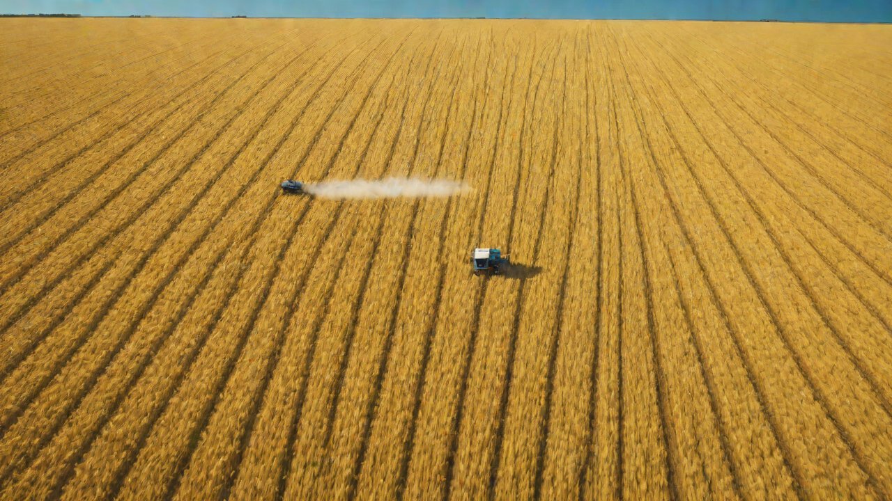 The Rise of Algorithm-Driven Harvesters