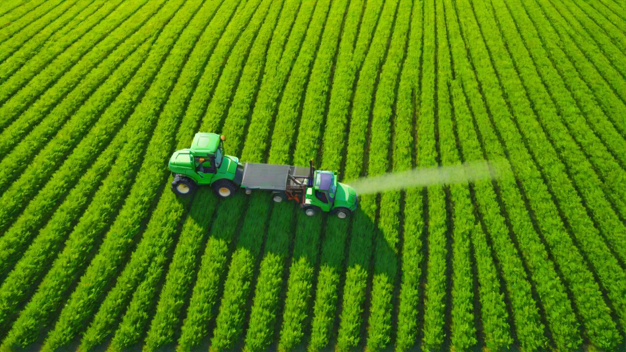 Market Trends and Expert Opinions