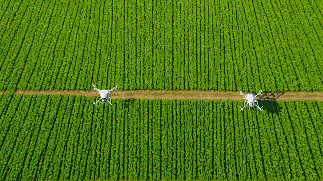 Tracking Every Drop: Real-Time Pesticide Monitoring