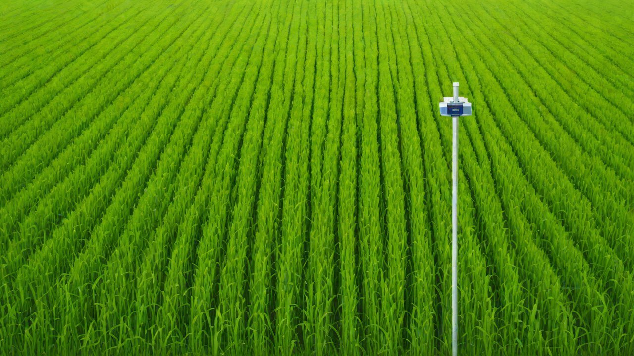 Case Studies and Success Stories