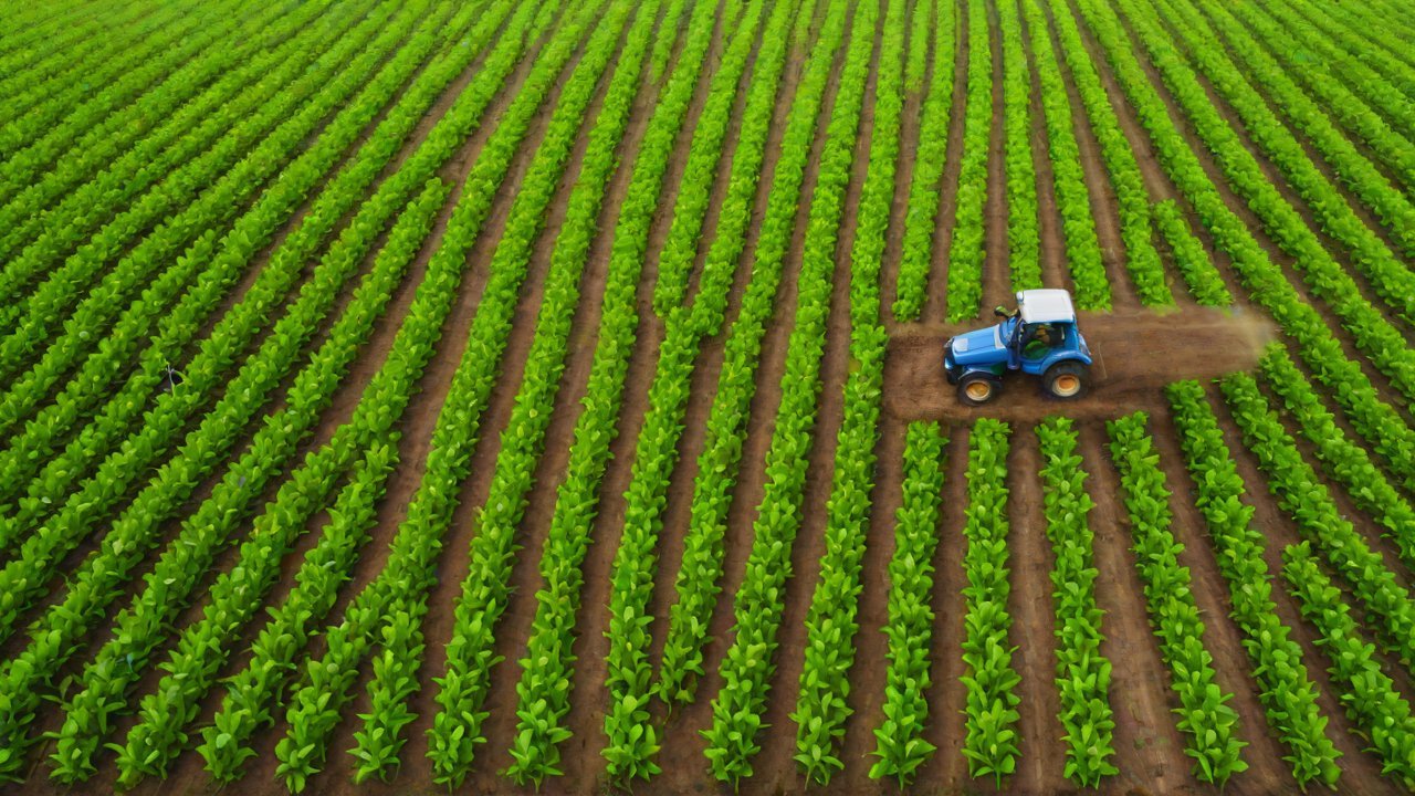 Opportunities for Improving Crop Yields and Reducing Risks