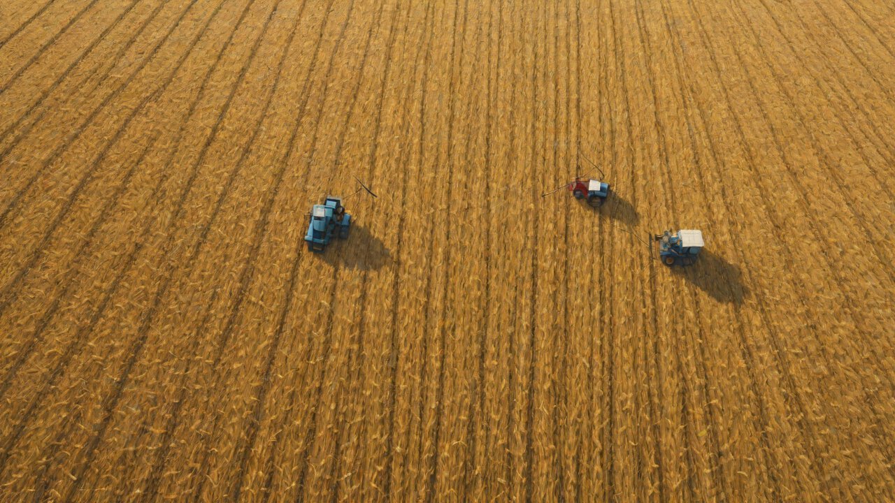 Market Trends and Adoption Rates