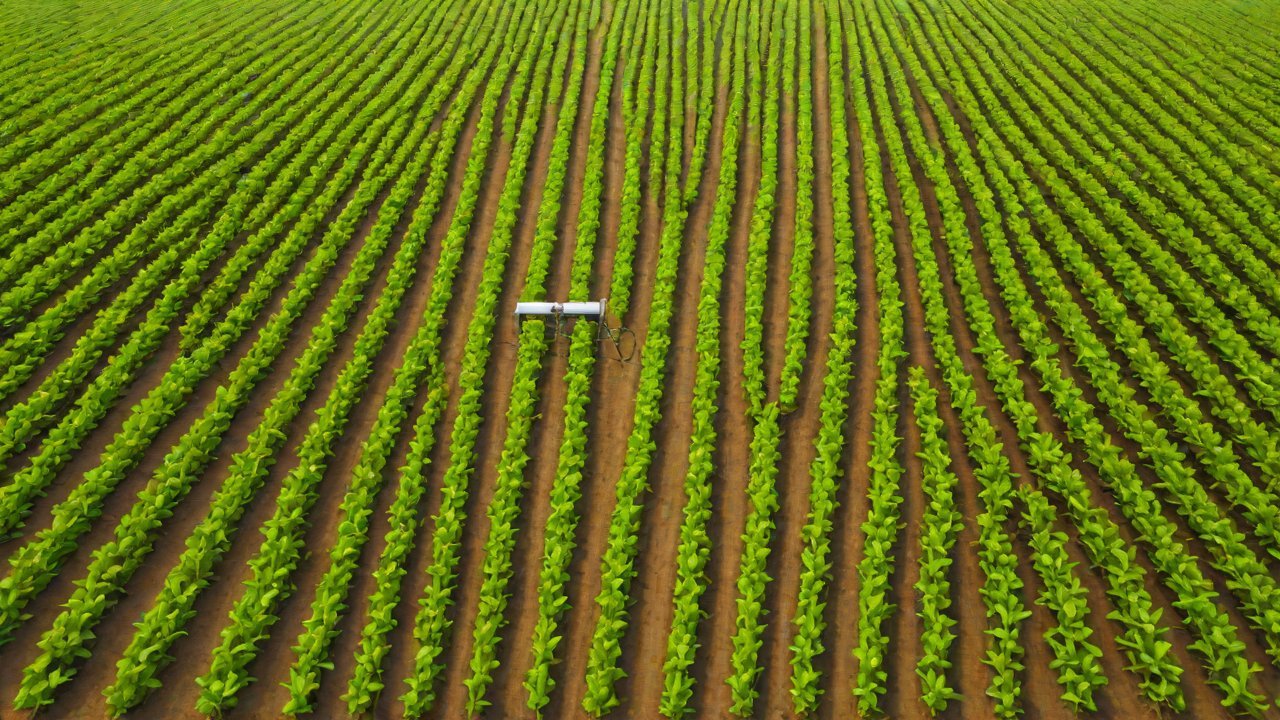 Soil Moisture Monitoring Technologies