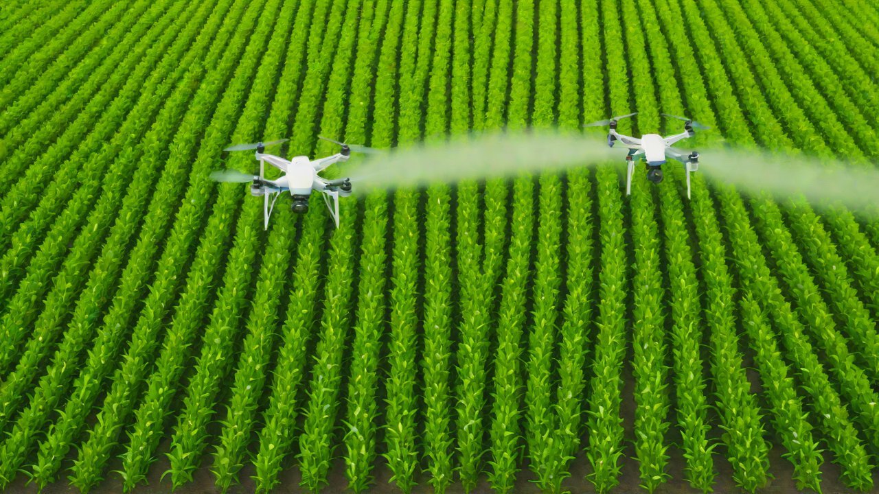 Implementation Strategy and ROI Analysis