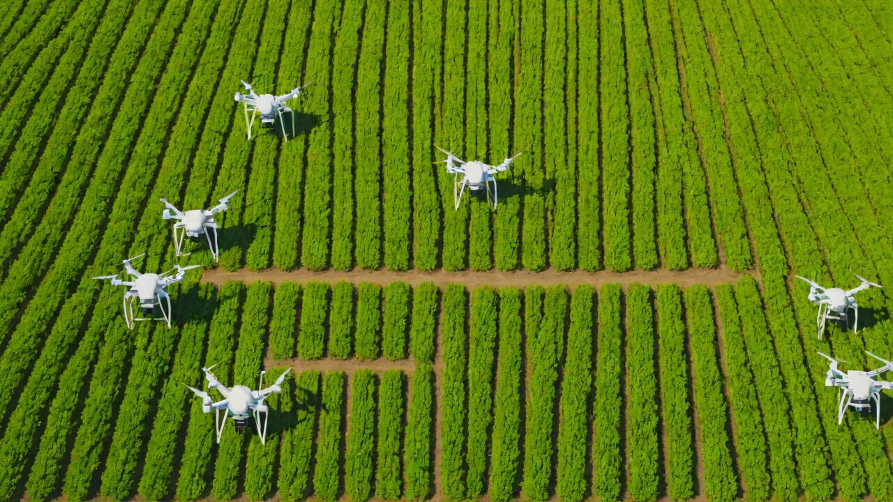 Temperature and Humidity Sensors