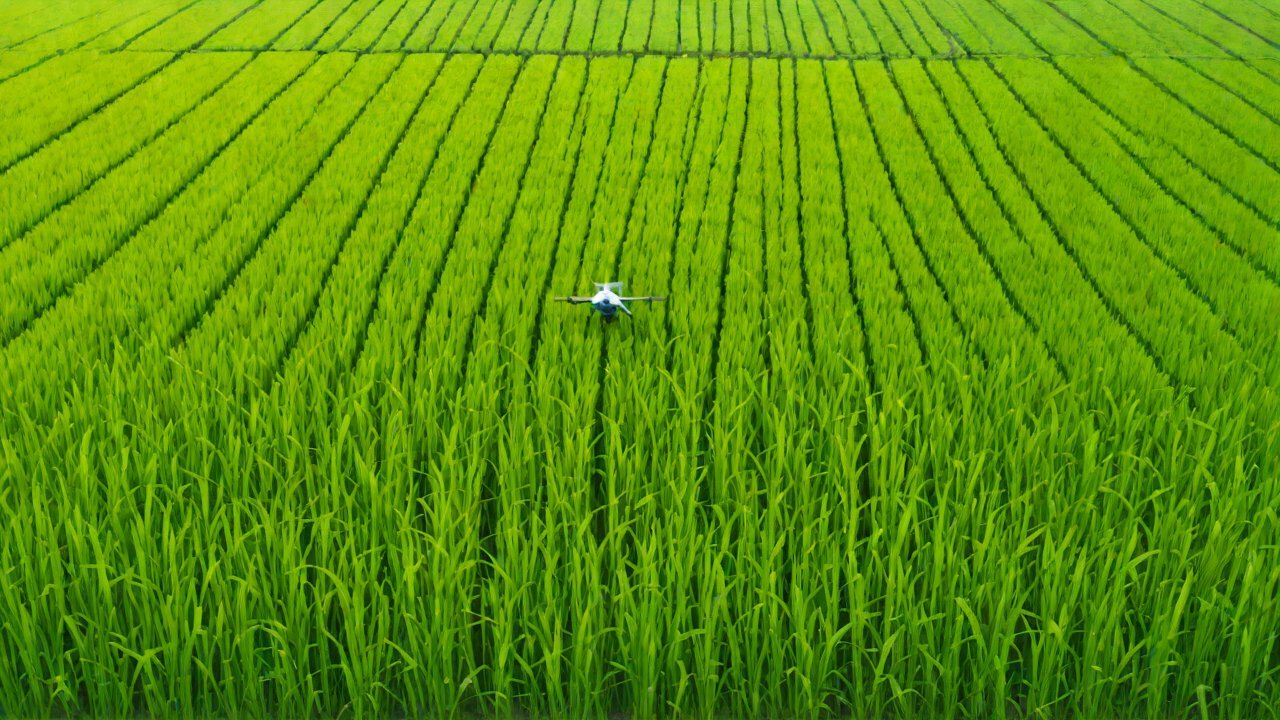 PT. Indofood CBP Sukses Makmur (Indofood) - Smart Farming Initiative