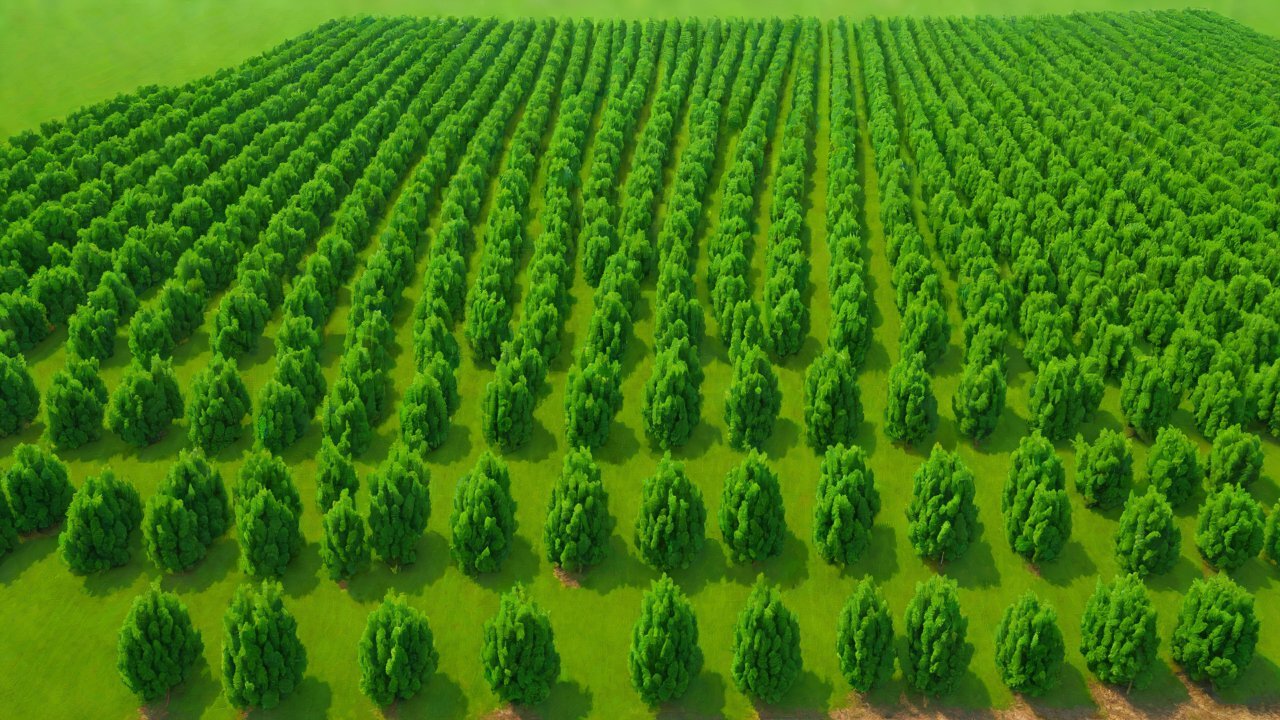 What subtle impacts do windbreaks have on local soil moisture distribution within farmland?