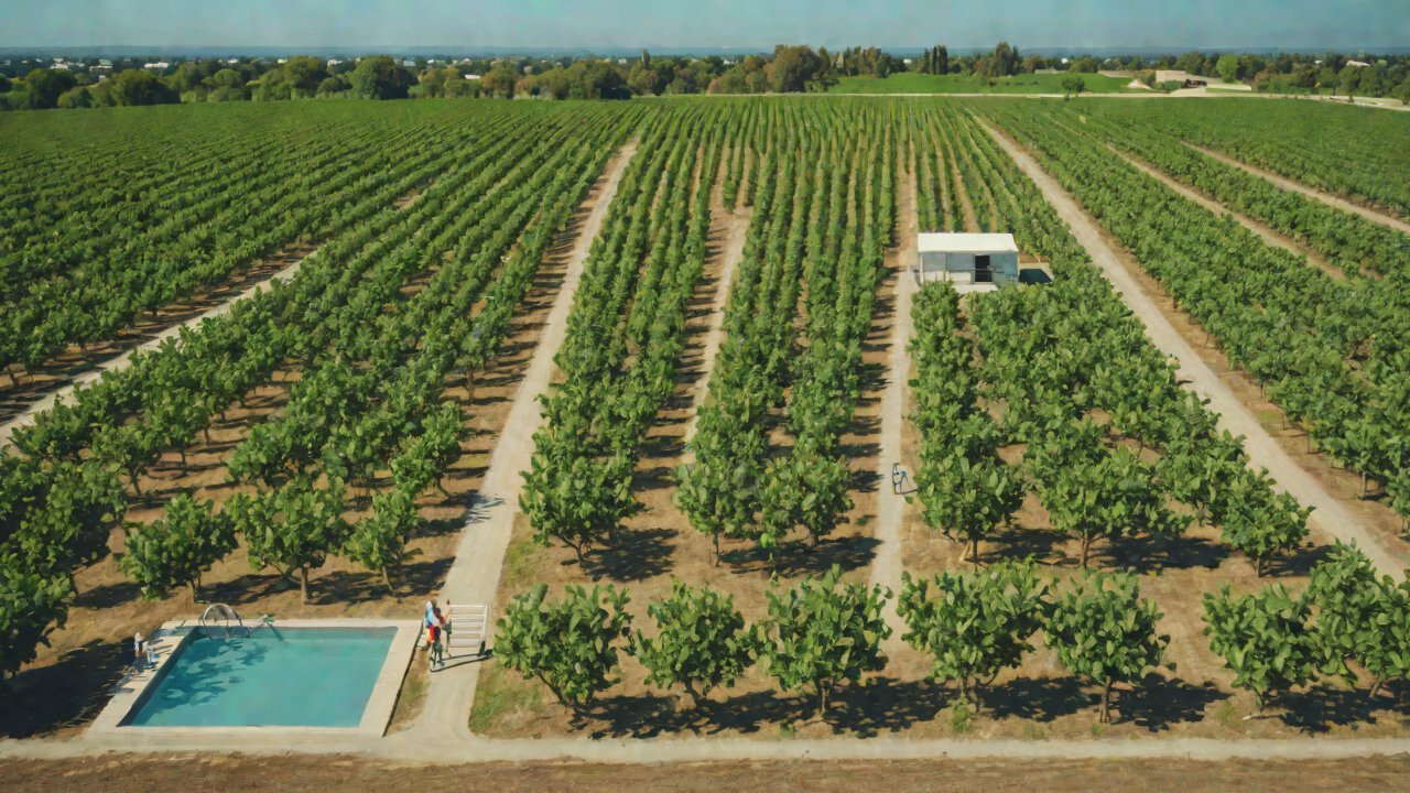 How can runoff loss in sloping orchards be quantitatively assessed through multi-point monitoring?