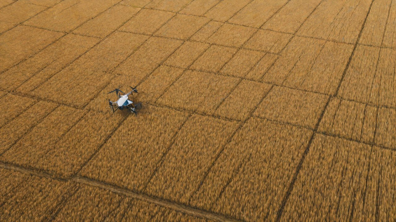 Can this algorithm estimate wheat yield per square meter from aerial imagery? How does semantic segmentation technology identify irrigation ditches and field ridges in drone navigation?