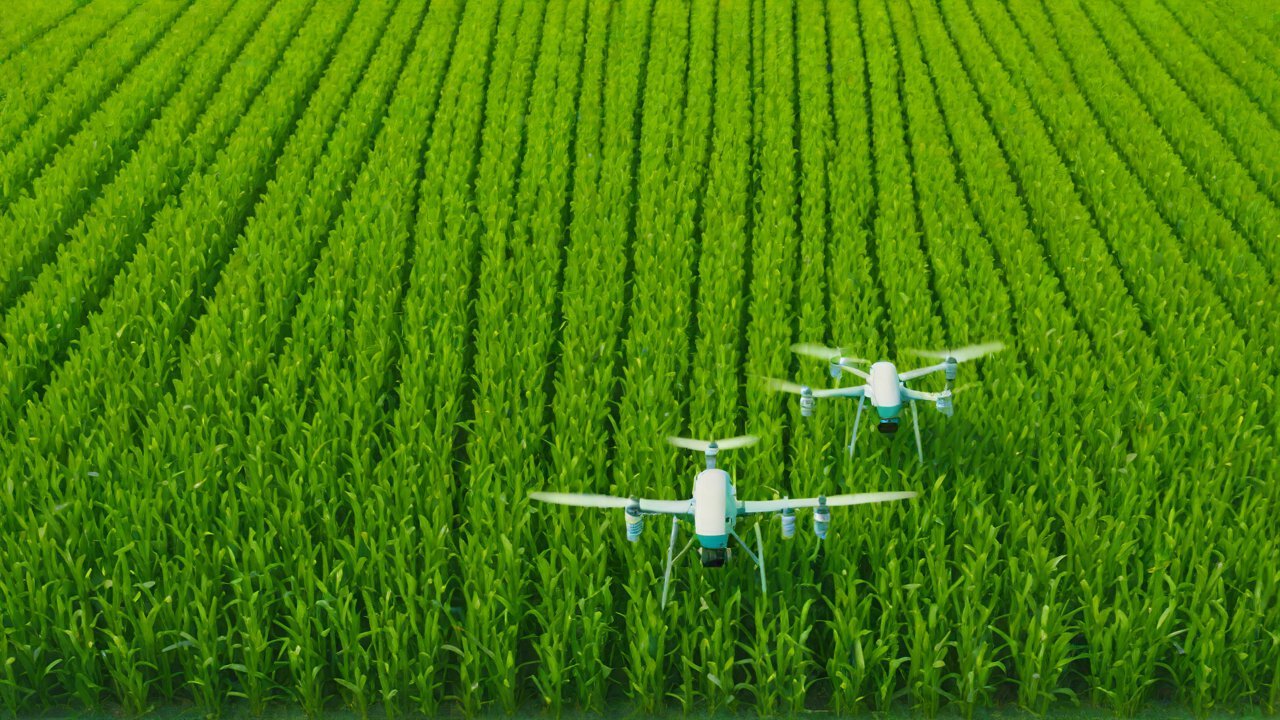 When drones become ubiquitous, will traditional sprayers become museum artifacts?