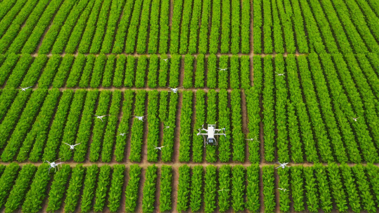 Market Data and Trends