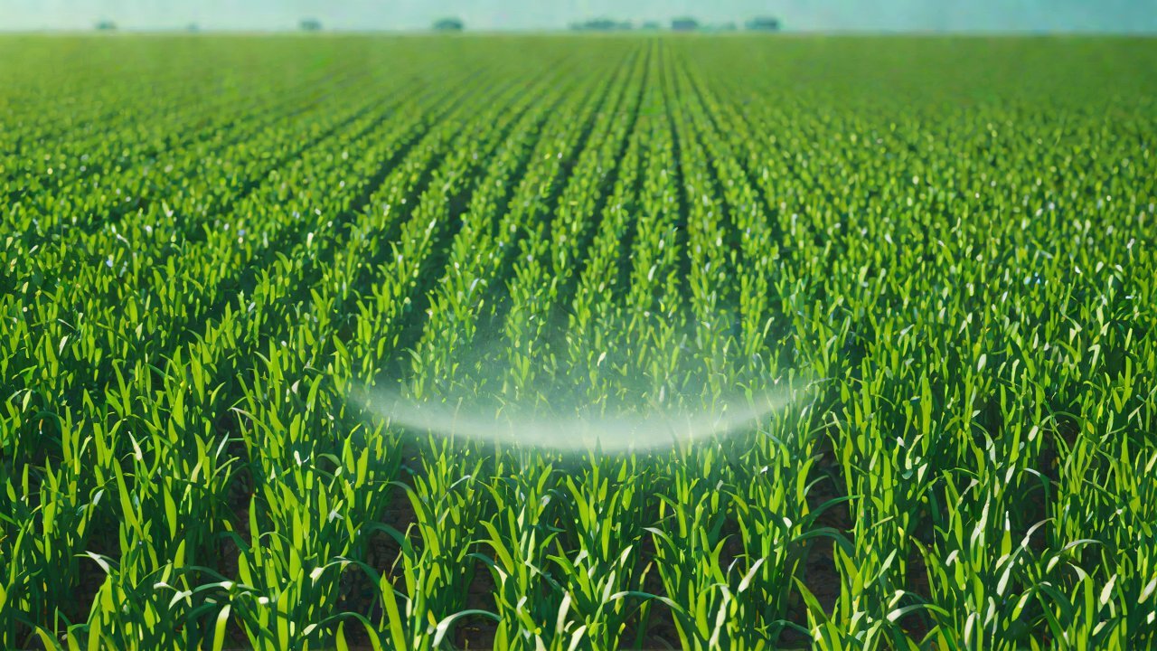 Application of Reinforcement Learning in Irrigation Systems