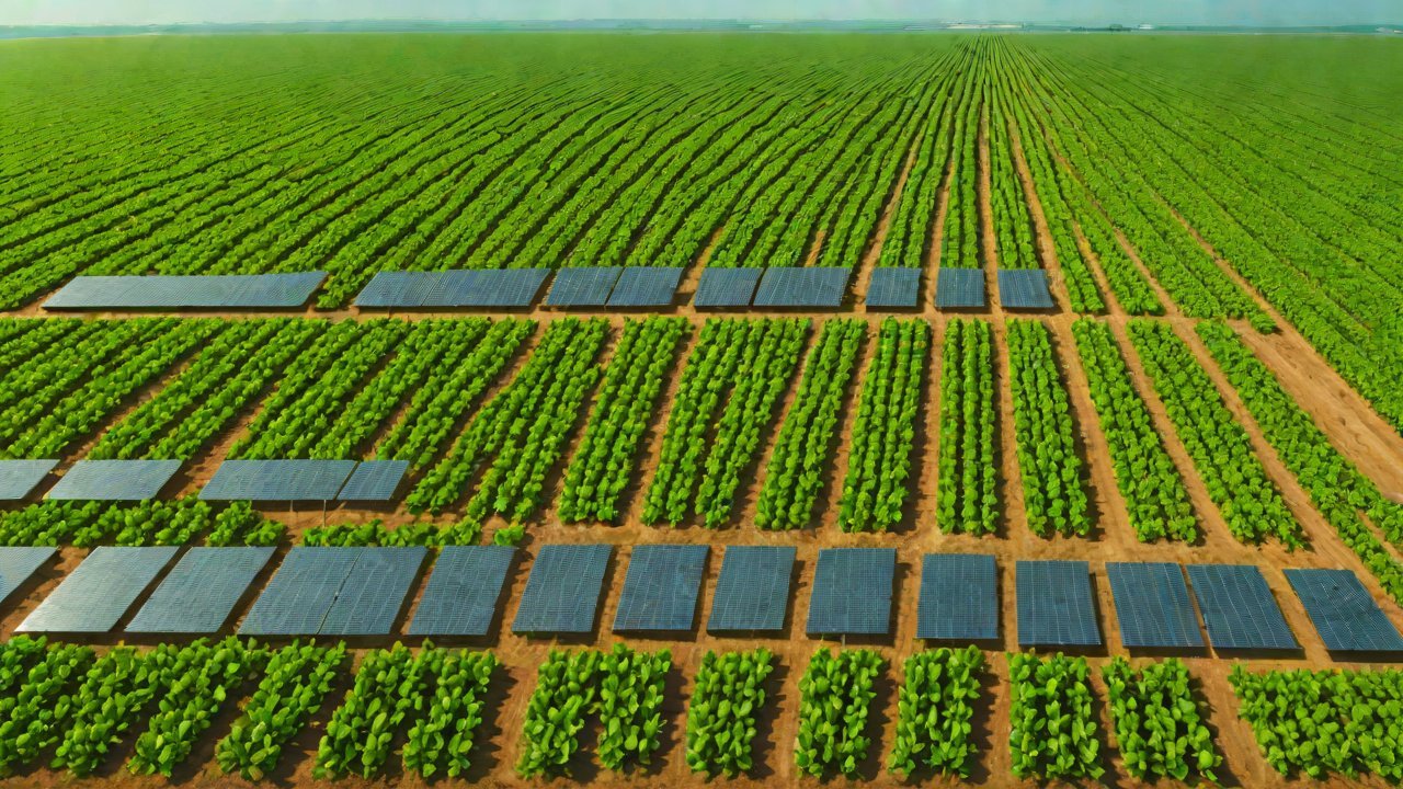 Current State of Cross-Validation with Image Recognition and Soil Moisture Data