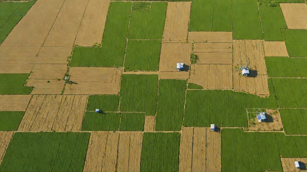 Technical Perspectives