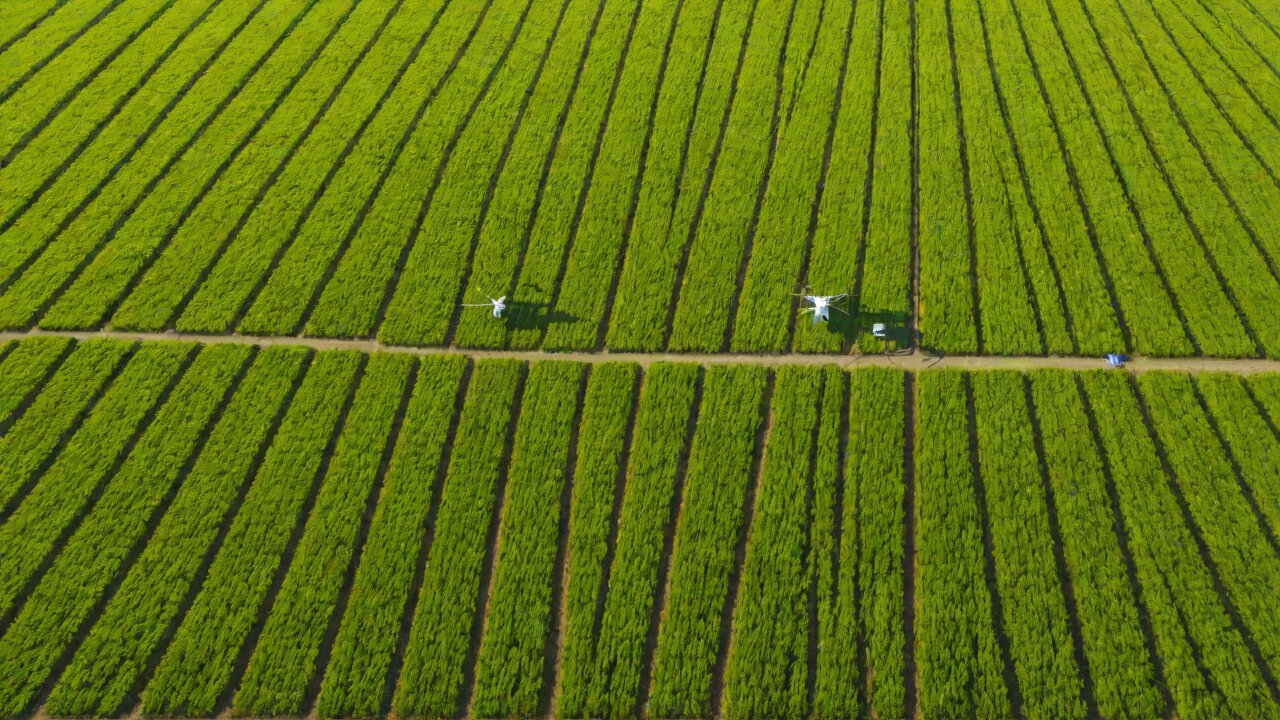 Can the ultimate algorithm achieve