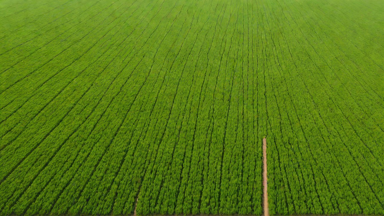 Advanced Irrigation Systems: A Key Enabler for Dryland Agriculture