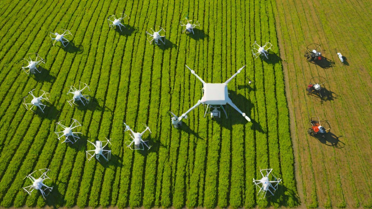 Scalability and Flexibility