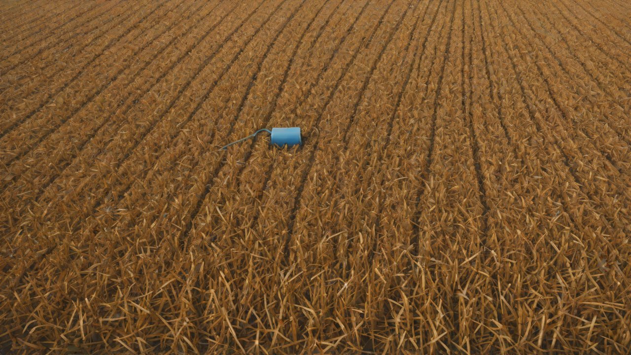 AIGC Technical Perspectives