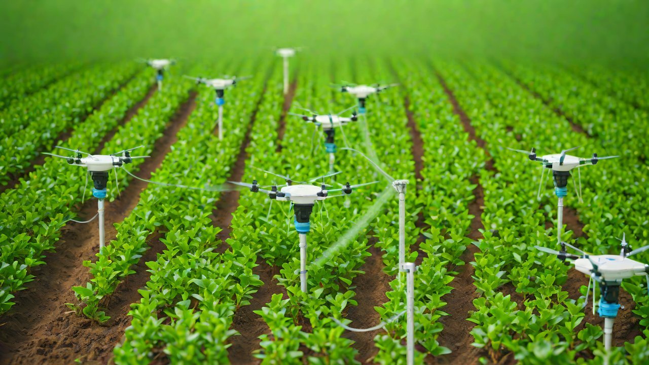 Wireless Communication Protocols for Soil Moisture Monitoring