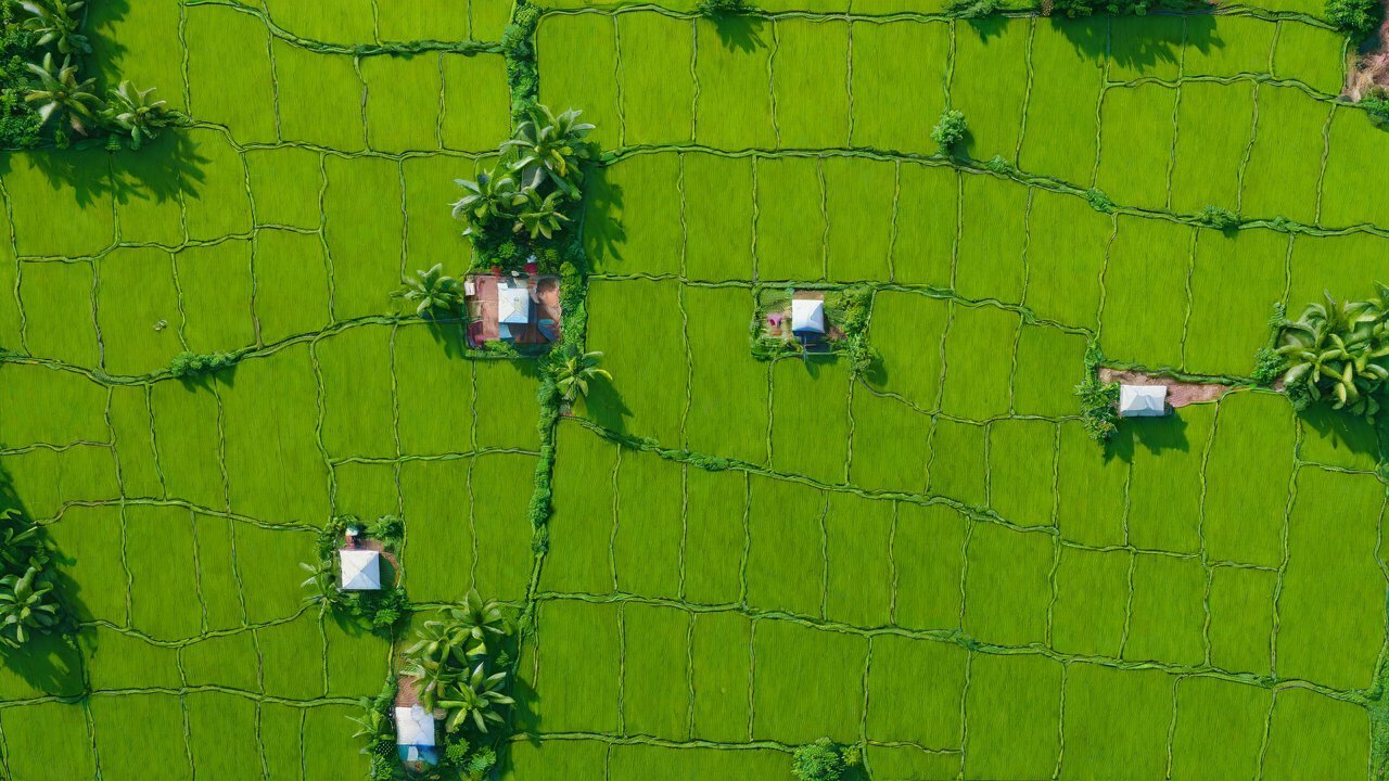After floods, how can IoT devices quickly restore the monitoring capabilities of paddy fields?