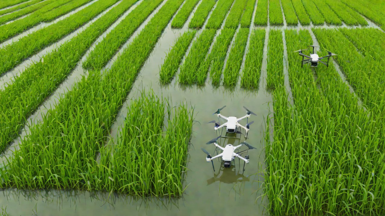 After floods, how can IoT devices quickly restore the monitoring capabilities of paddy fields?