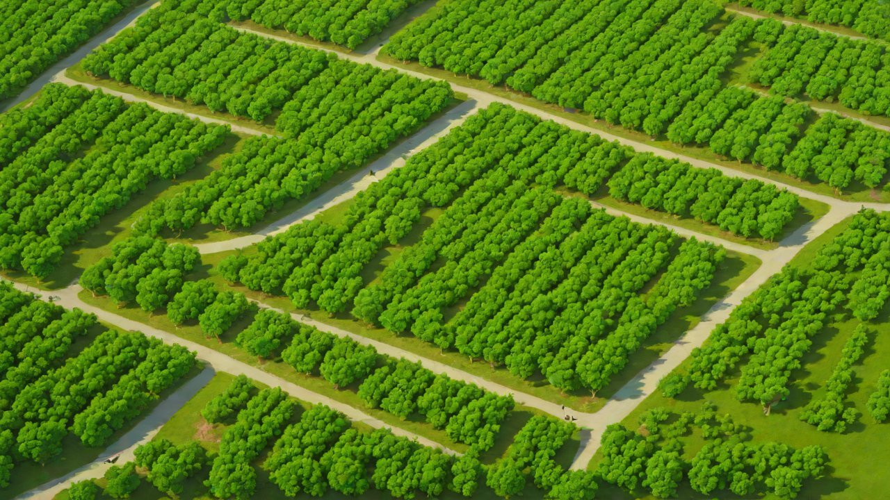 Case Studies and Applications