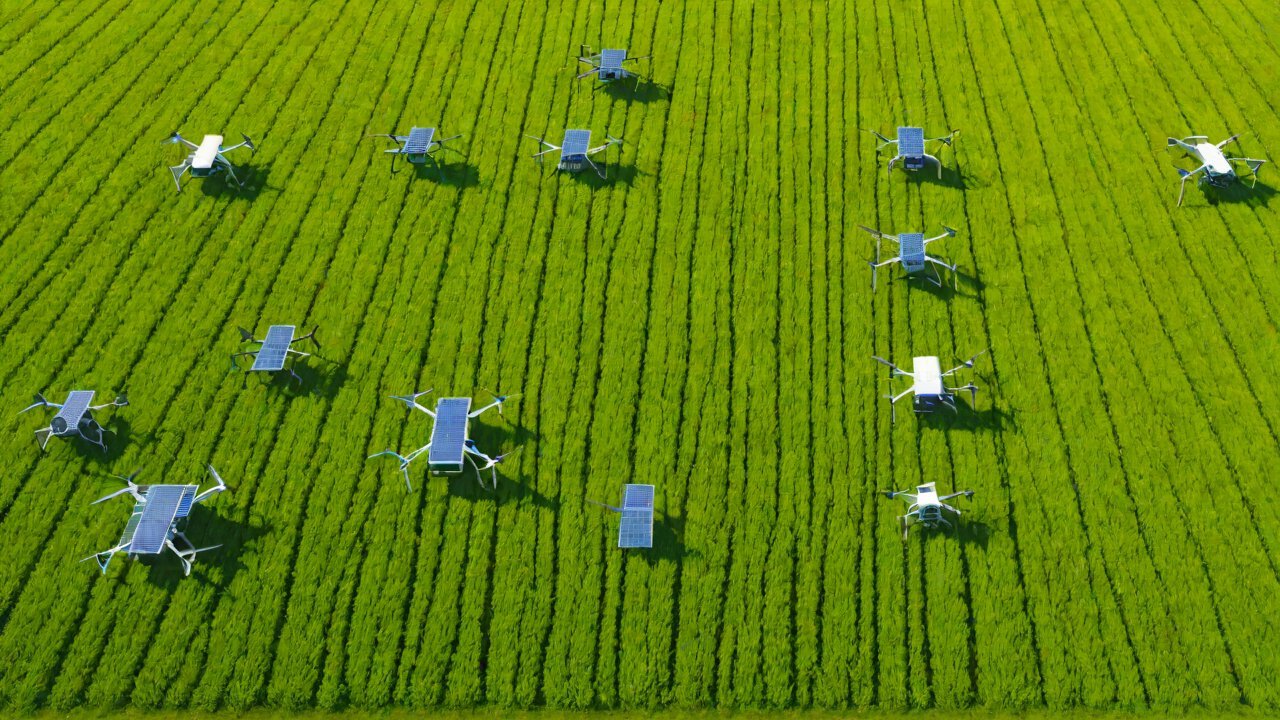 Business Model Considerations