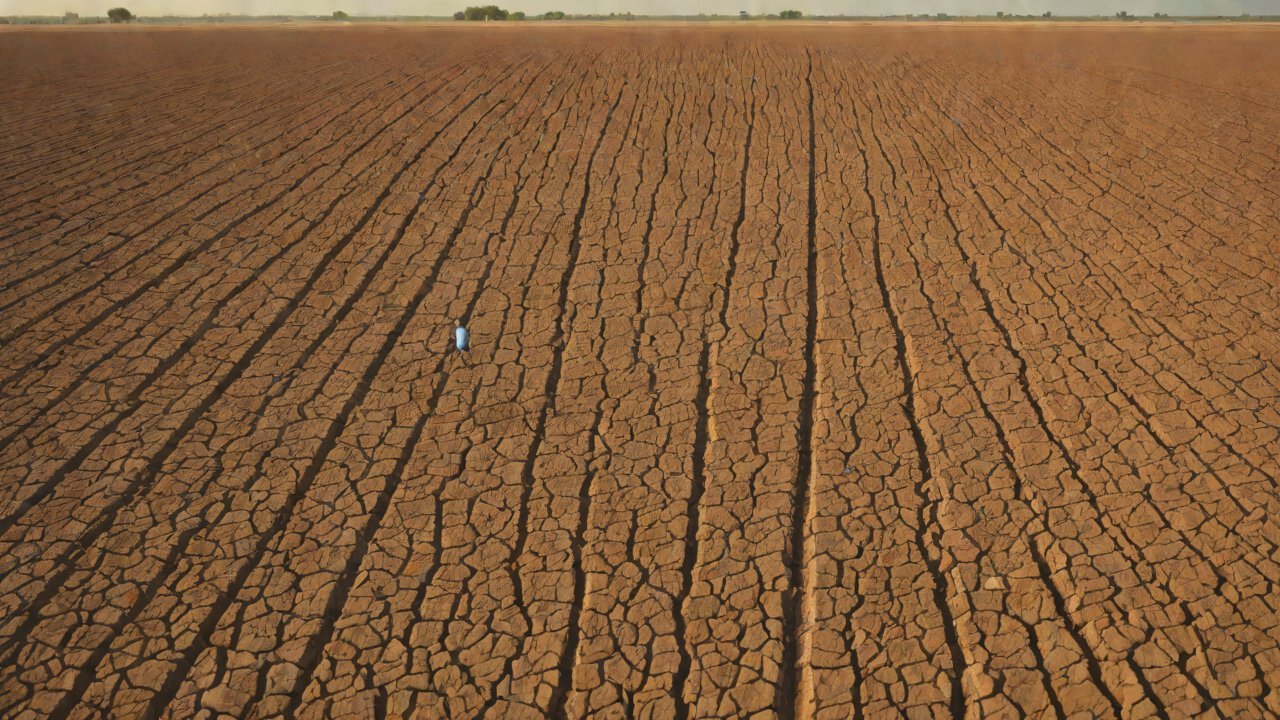 Results: Accuracy of Soil Moisture Monitoring Data and Agricultural Loan Amounts
