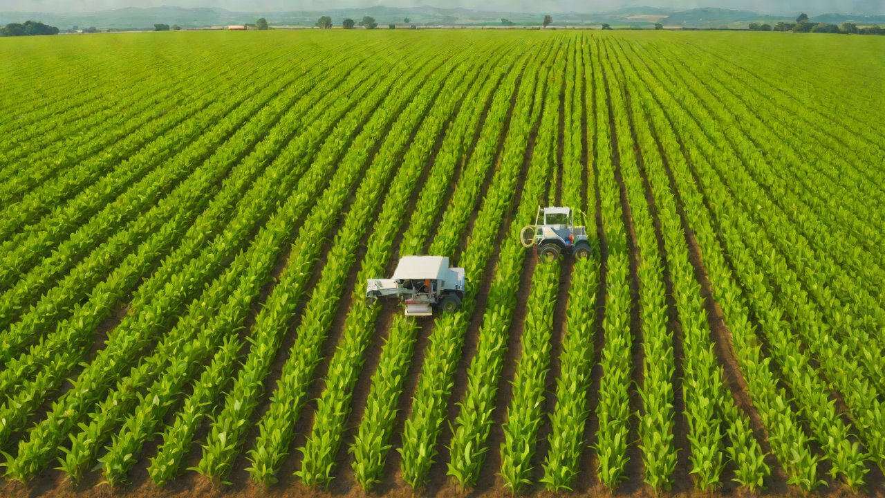 The Sensor Revolution: A Game-Changer for Agriculture?
