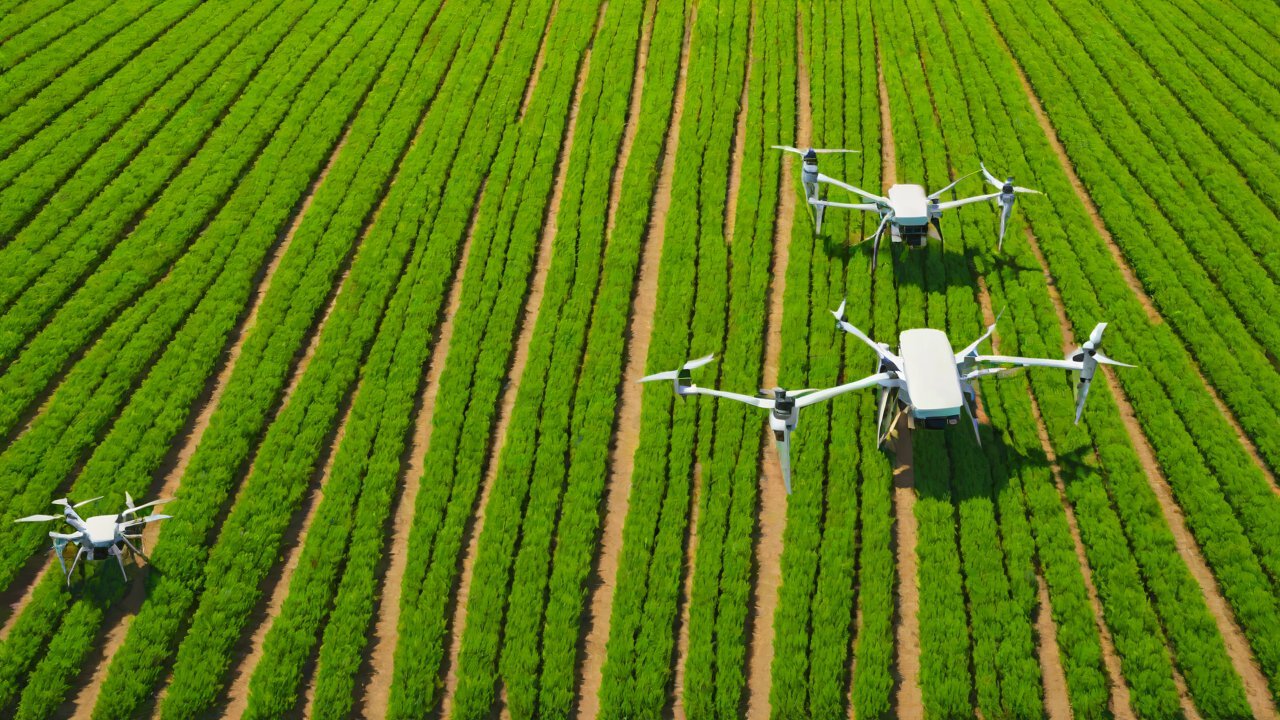 Market Data and Trends