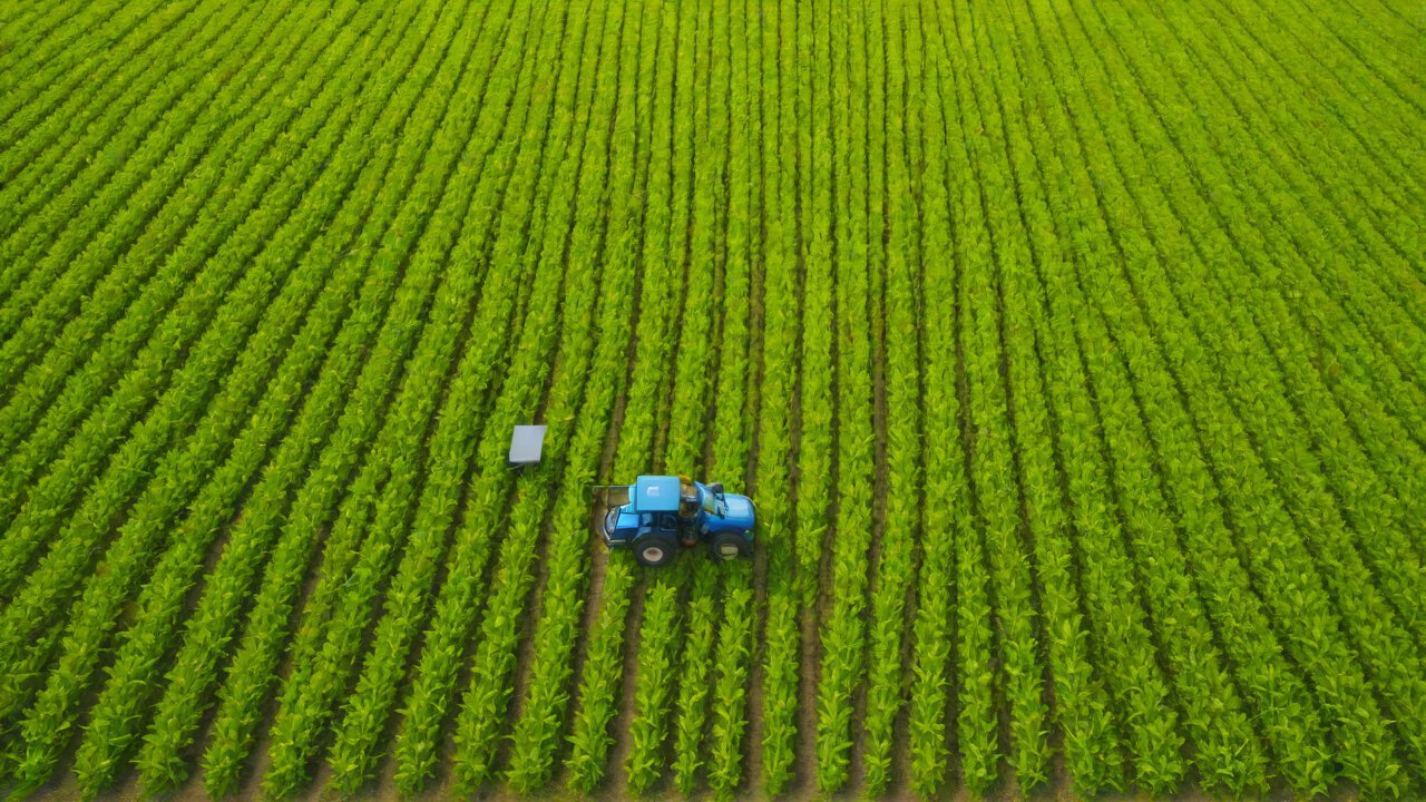 Market Trends and Future Outlook