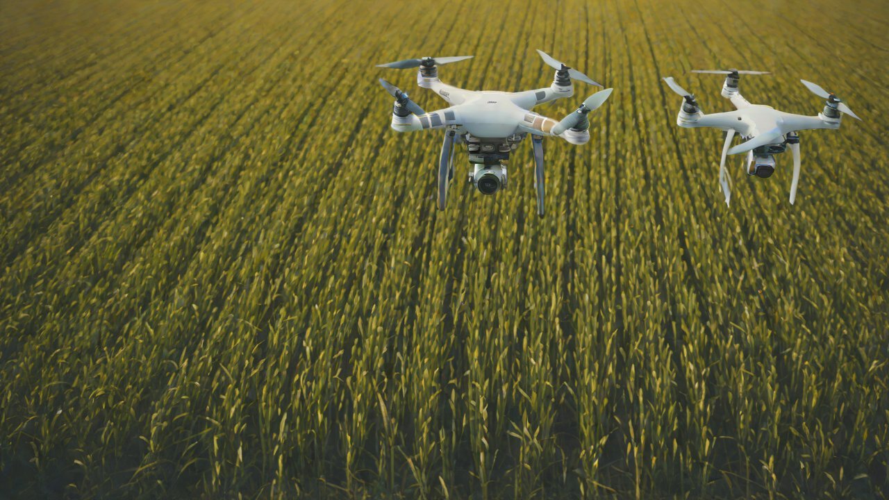 Market Trends and Analysis