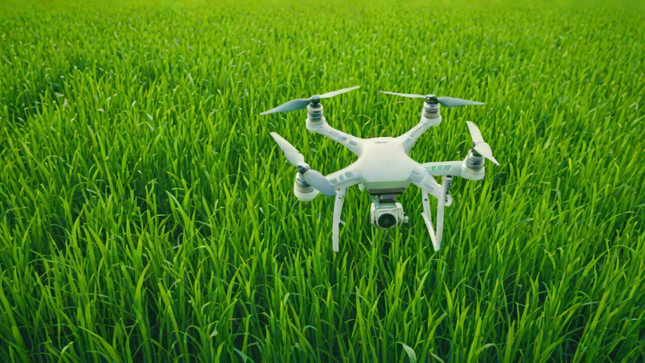 Market Trends and Analysis