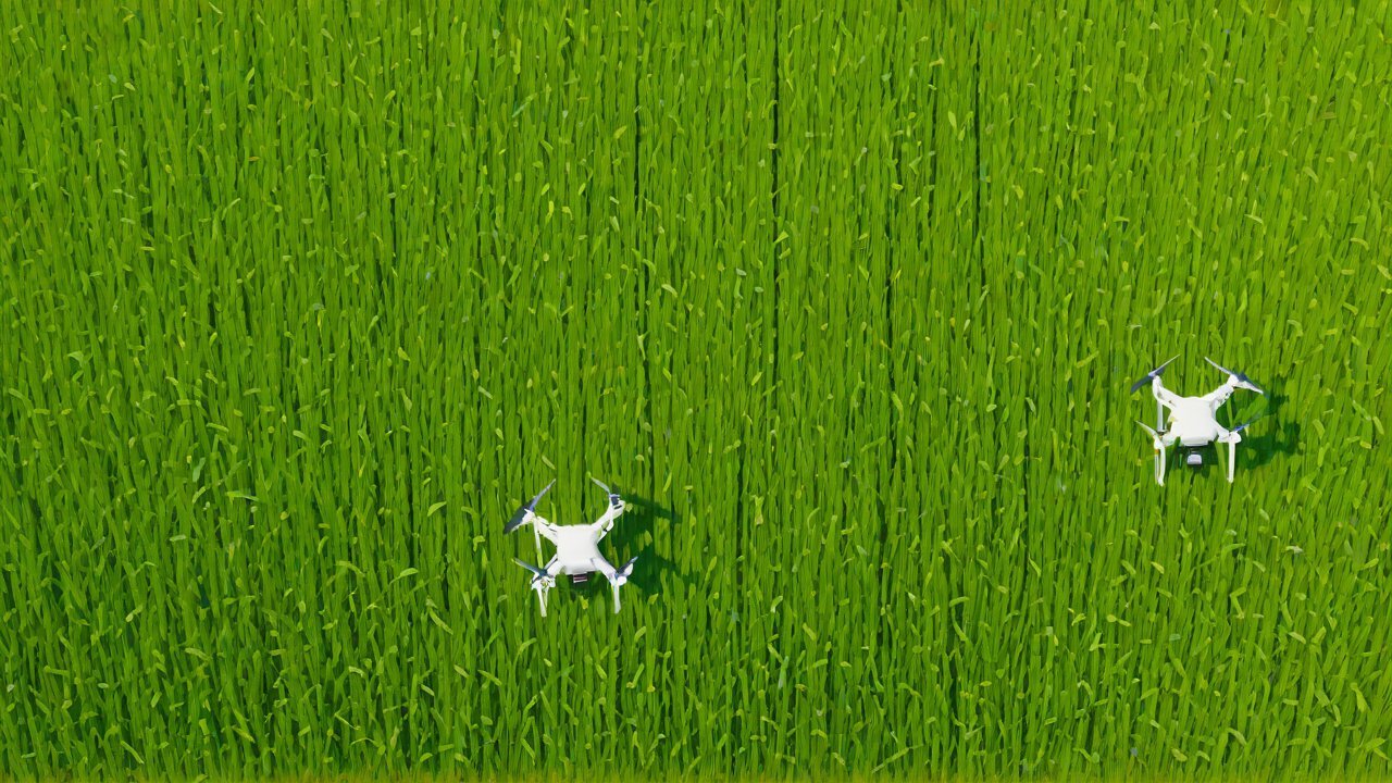 Machine Learning and Data Analytics