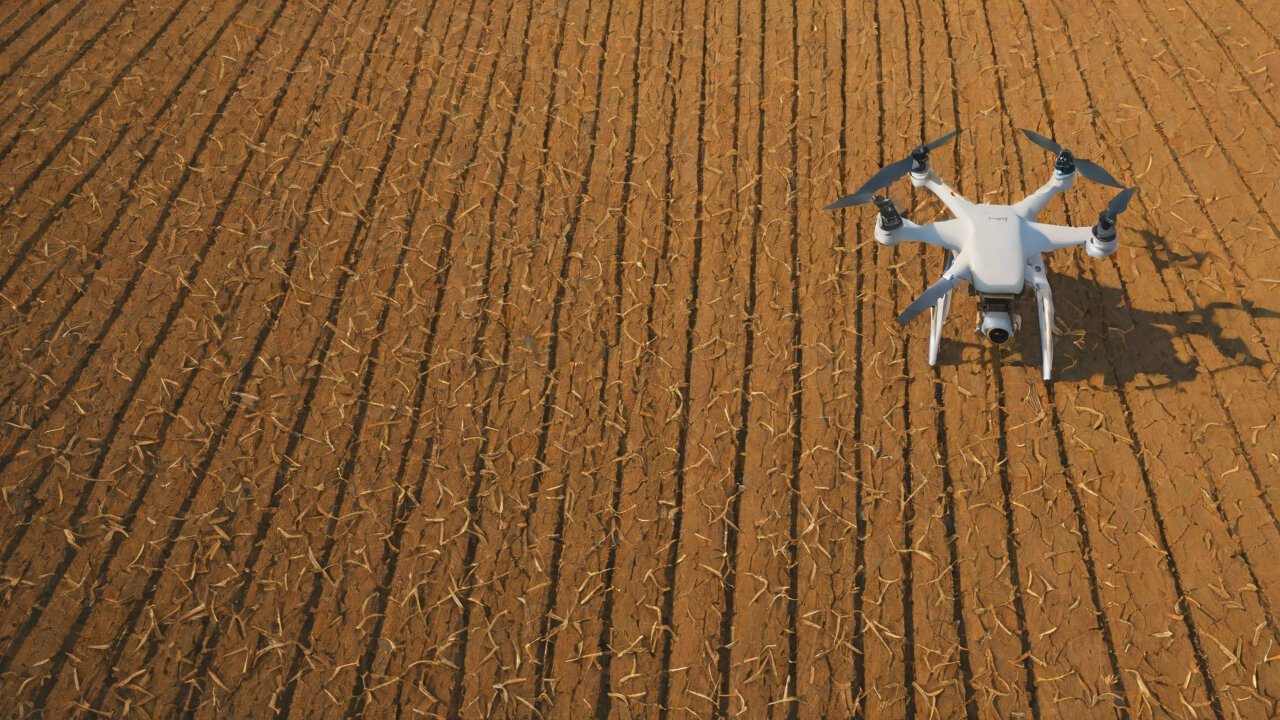 Background on Crop Drought Stress