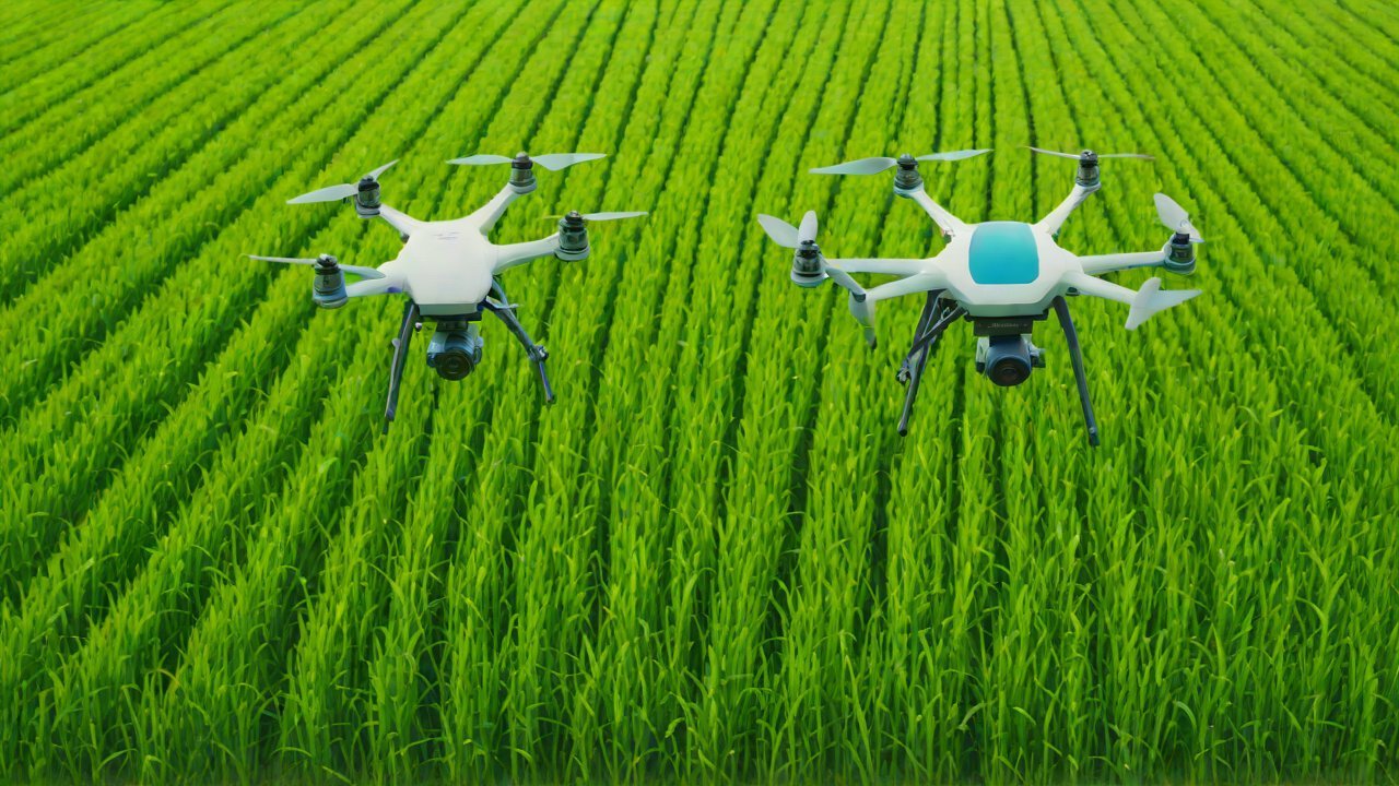 Real-Time Data Collection