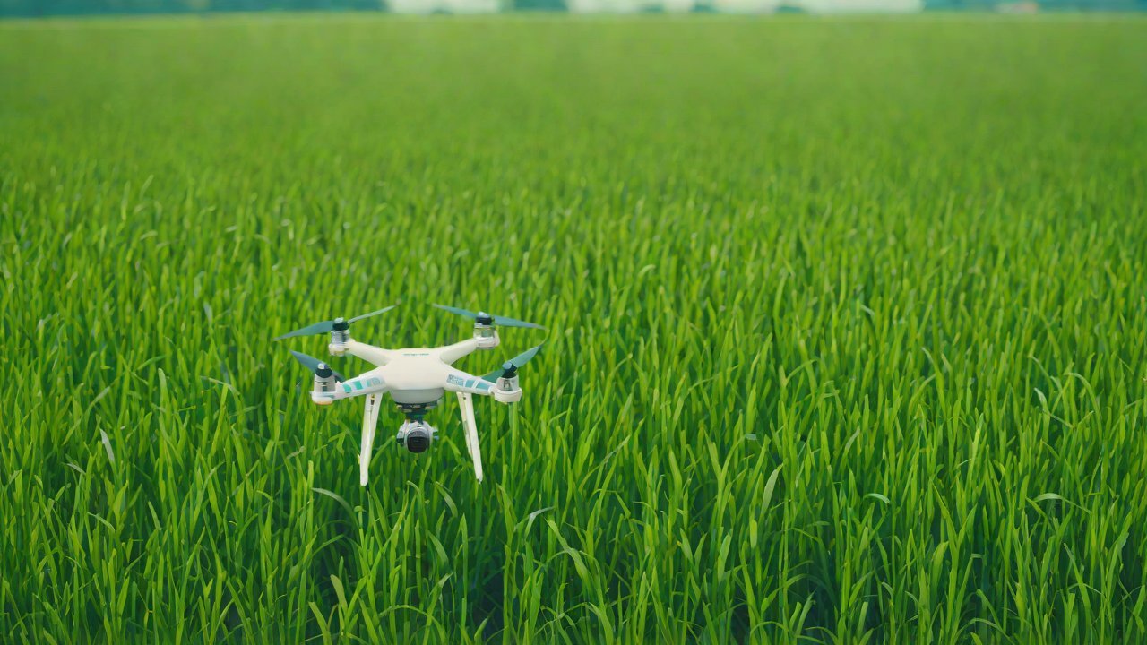 Theoretical Models of Pesticide Dispersion