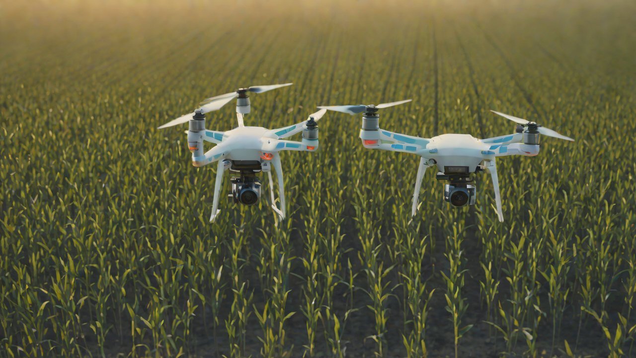 Challenges and Limitations