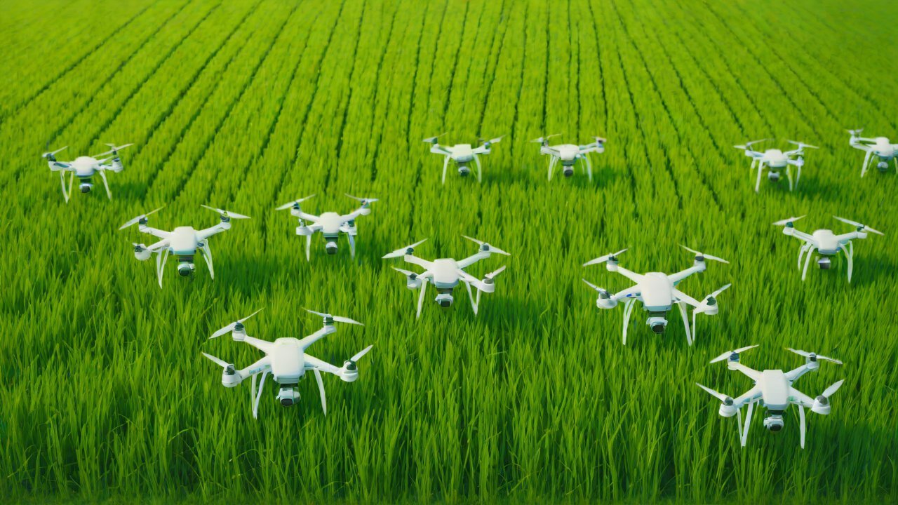 Market Demand and Adoption